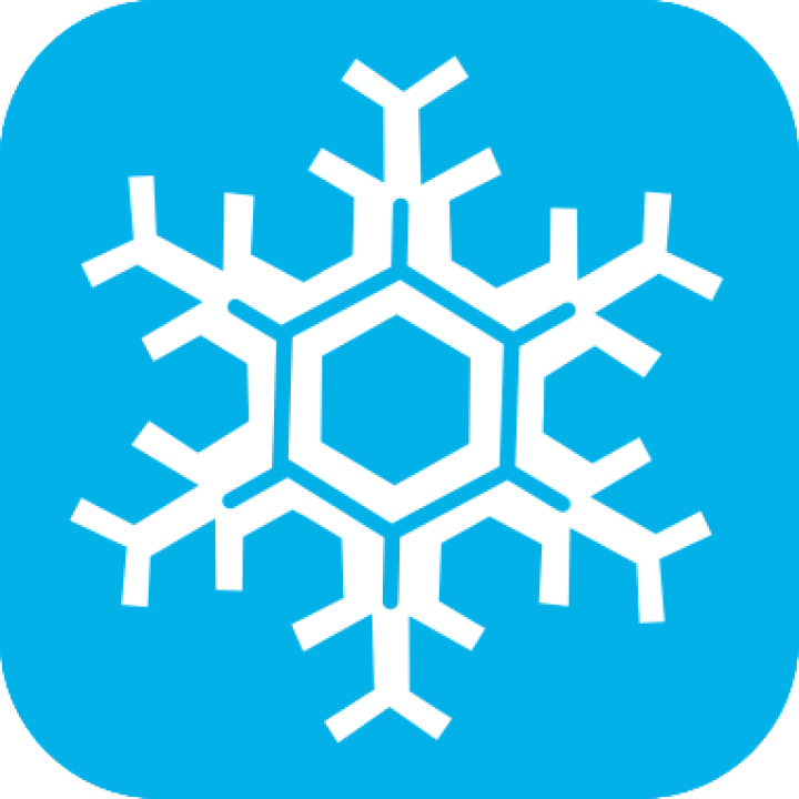 226082-four-seasons winter